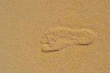 Fototapeta na wymiar Pied dans le sable
