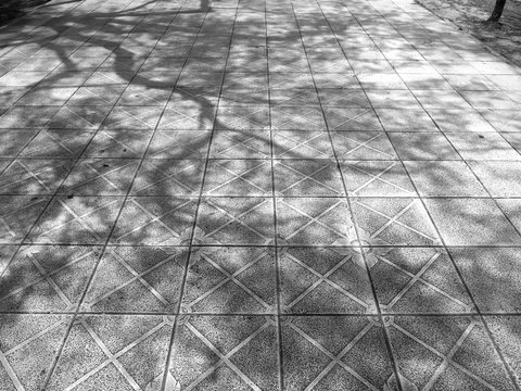 tree shadow on floor