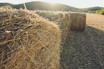 Straw bales in Teruel, Spain