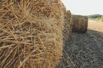 Straw bales in Teruel, Spain