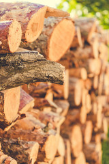 stacked logs of firewood