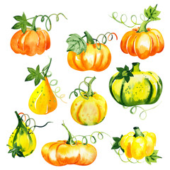 Watercolor set with halloween pumpkins