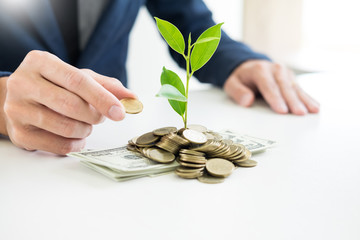 Business man hand make palm up with growing up money coins and sprout of plant savings financial...