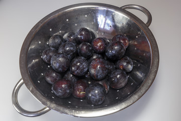 Fresh plum in a colander isolated on white background.