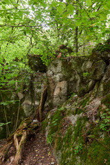 Wolf's Lair-Bunker Museum in Poland.