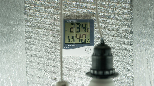 equipment for growing marijuana in growbox indoor.