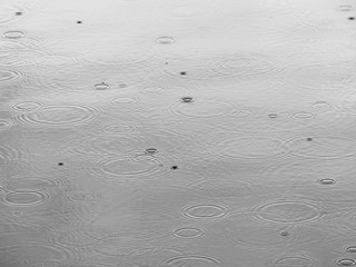 Rain drops in the water