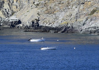 landscape along the Killick Coast,   fishing vessels anchored in the bay along the coastline  at Torbay Bight, Avalon Peninsula, NL Canada