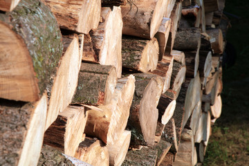 Pile of firewood. Preparation of firewood for the winter at an old farm house on the farm.