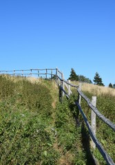 wooden fence along  an unmaintained hiking path, clear sunny Autumn day