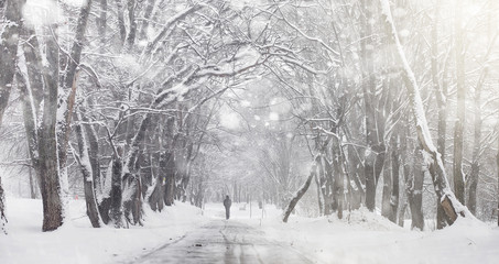 Snow-covered winter park and benches. Park and pier for feeding 