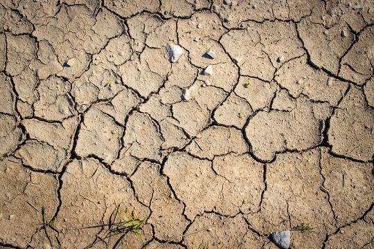 Vertrockneter, ausgelaugter Boden, Dürre / Desertifikation 
