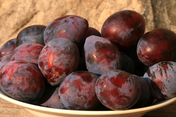Plums from home orchard. Tasty and healthy snack on the farm. Set of fruits in the countryside.