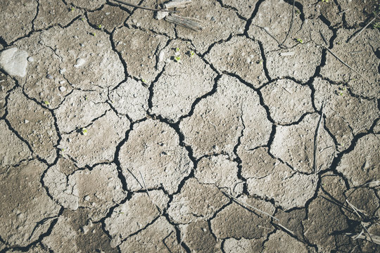 Vertrockneter, ausgelaugter Boden, Dürre / Desertifikation 