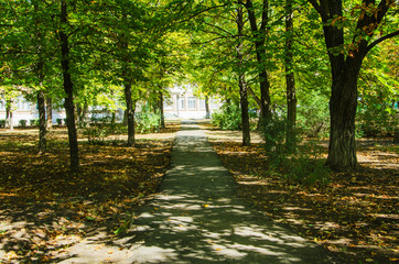 Road to school through the autumn park