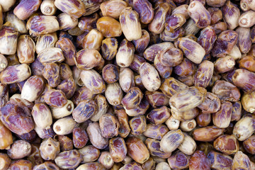 Background of dried dates fruit