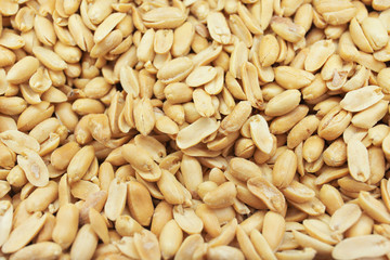 Background of roasted peanuts peeled