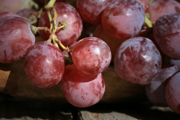 Bunch of grapes on a wooden table an old, country house. An element of outdoor decoration on the occasion of a harvest festival at the end of summer.