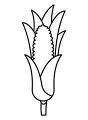 sweet corn isolated icon