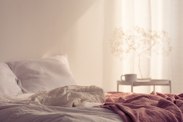 Red blanket on bed with pillows in white minimal bedroom interior with plant on table. Real photo