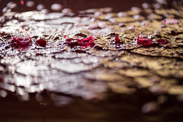 goutte de vin magique dans le pressoir