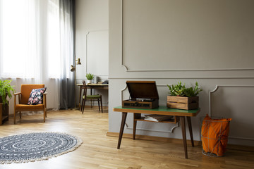 Record player and plant on table in vintage living room interior with rug and armchair. Real photo