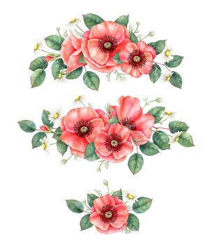 Hand painted compositions with red poppy, chamomilles and leaves. Watercolor botanical design elements isolated on white background.