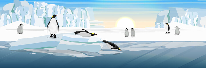 A flock of realistic imperial penguins with many little chicks. Two penguins from the ice floe into the water. The glacier and the snow-covered plains and the cold blue sea. Landscapes of Antarctic. © AnnstasAg