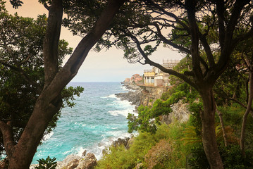 the Tigullio gulf  with stormy weather fromed by tree branches, view from the sea promenade on the rocky coast of Genoa Nervi, Liguria, Italy