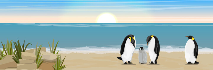 A flock of penguins. A family of two penguins and a chick on a sandy beach. Coast of the sea or the ocean. Vector landscape © AnnstasAg
