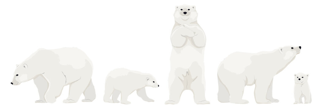 12 Famous Polar Bear Cartoon Characters