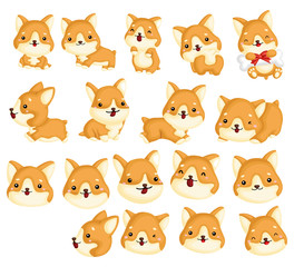 Corgi Vector Set