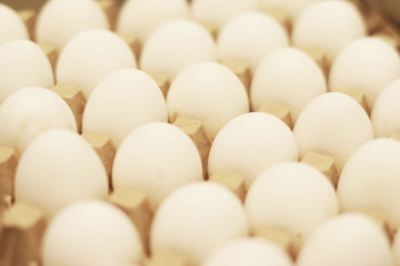 White chicken eggs in a cardboard package, side view, selective focus