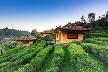 Fototapeta na wymiar Earthen buildings and U-Long tea plantations at Ban Rak Thai Village, Mae Hong Son province Northern Thailand.