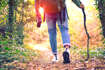  Man trekking in woods holding stick and camera - Person hiking along the forest path in autumn season - Green concept of adventure  and seasonal vacation with rear view of tourist on trail											