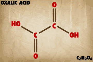 Detailed infographic illustration of the molecule of Oxalic acid
