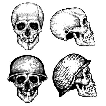 Hand drawn vector death scary human skulls vintage style isolated on white background illustration