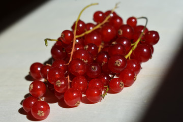 Bayas rojas comestibles