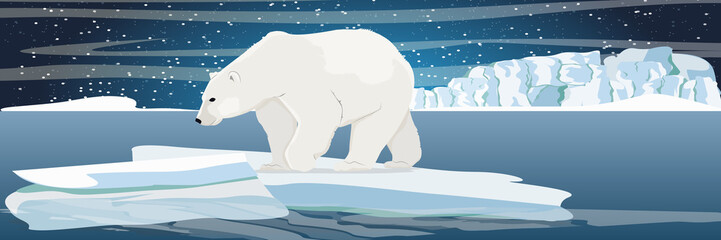 Large polar bear on an ice floe drifting in a cold northern ocean. The glacier and the snow-covered plains and the cold blue sea. Starry night in the North. Landscapes of the Arctic.
