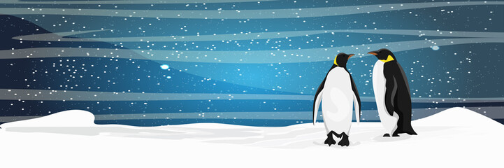 Naklejka na ściany i meble Couple of Realistic imperial penguins on the snow. The glacier and the snow-covered plain. Starlight Night. Landscapes of the Antarctic.