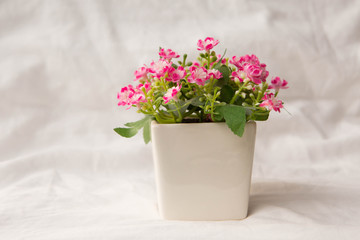 artificial pink flowers in small pot