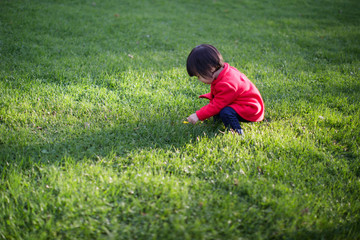 baby girl play in autumn forest park