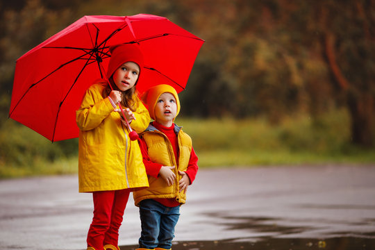 happy children girl with umbrella  on autumn walk