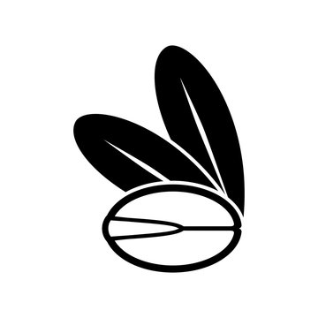 Argan Oil Tree Seed Icon.