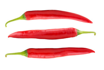 red chili pepper on white background, clipping path