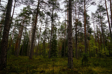 Lahemaa National Park