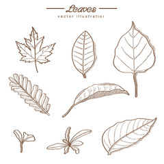 Sketch leaves hand drawn vector design elements. vector illustrations in sketch style.