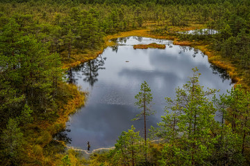 Bog landscape in tallinn, town, old, estonia, europe, baltic, city, autumn, capital, view, architecture, urban, building, travel, landmark, cityscape, medieval, historic, tower, european, street, beau