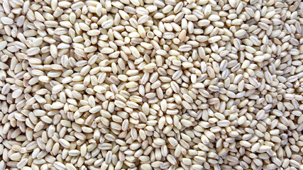 Wheat seeds background with copy space