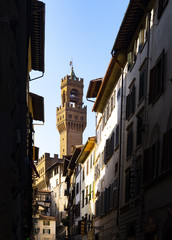Fototapeta na wymiar tower of Palazzo Vecchio among the houses of Florence